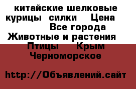 китайские шелковые курицы (силки) › Цена ­ 2 500 - Все города Животные и растения » Птицы   . Крым,Черноморское